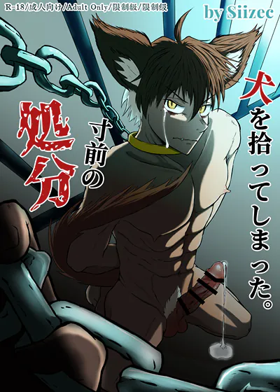 捡到了即将被处置的狗。 (台版),捡到了即将被处置的狗。 (台版)漫画