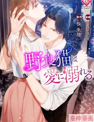 流浪猫沉溺於爱~,流浪猫沉溺於爱~漫画